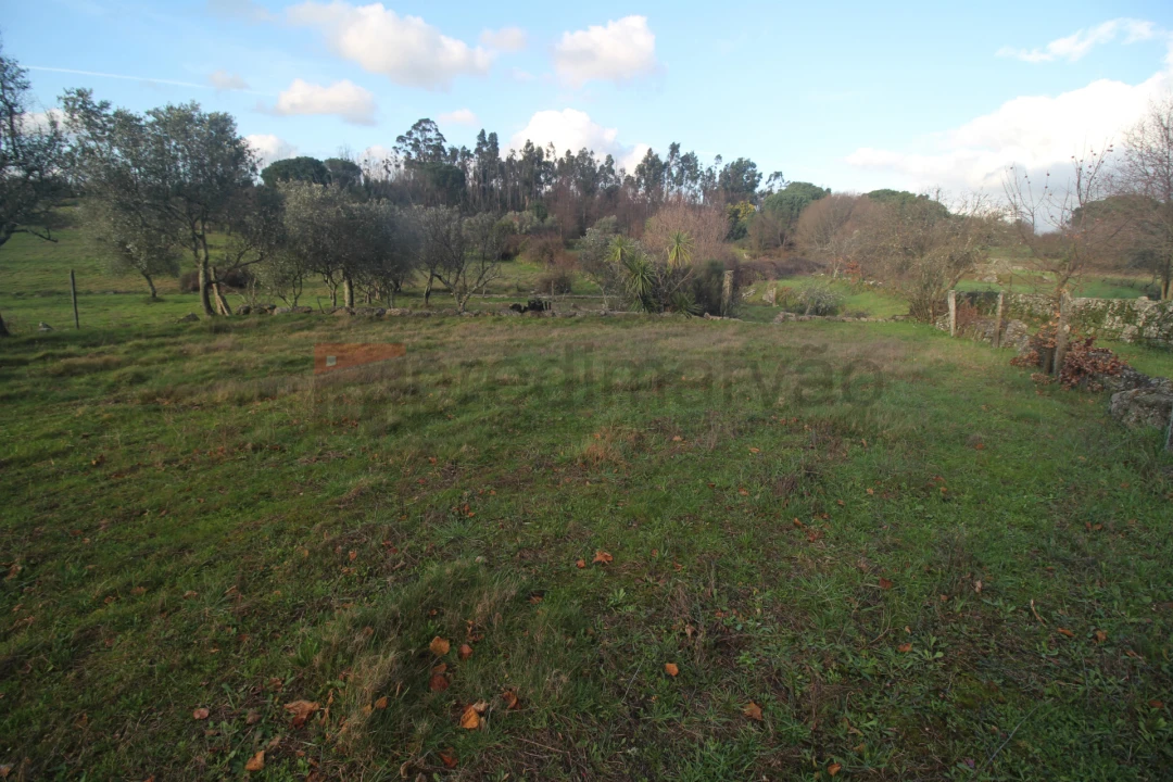Terreno Agricola ou Rústico para Venda em Nespereira Foto 3