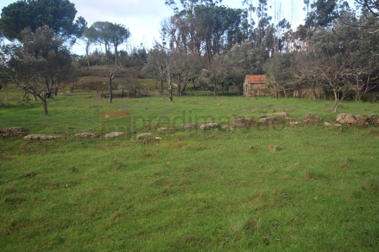 Terreno Agricola ou Rústico para Venda em Nespereira