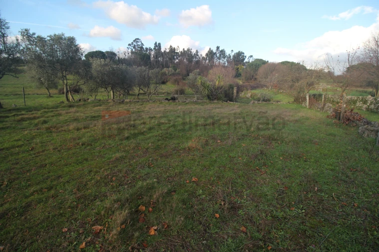Terreno Agricola ou Rústico para Venda em Nespereira Foto 3