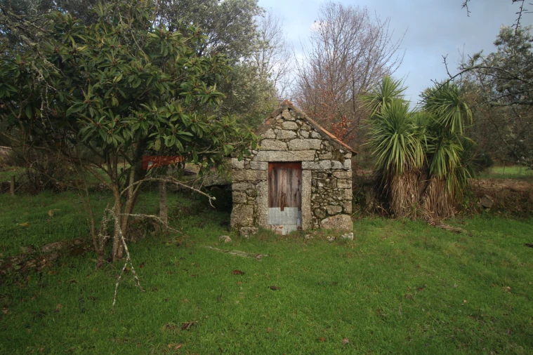 Terreno Agricola ou Rústico para Venda em Nespereira Foto 5