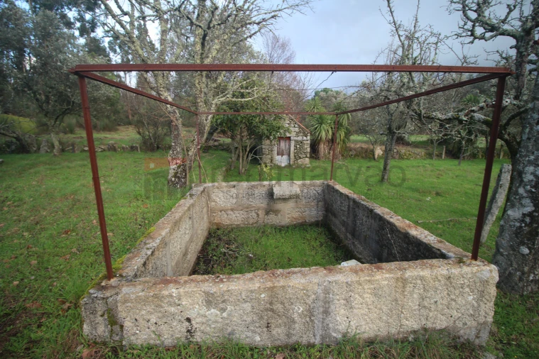 Terreno Agricola ou Rústico para Venda em Nespereira Foto 6