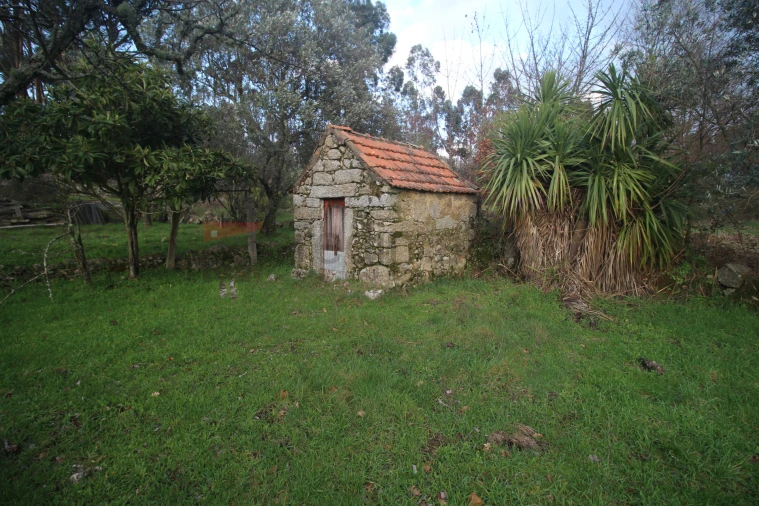 Terreno Agricola ou Rústico para Venda em Nespereira Foto 8