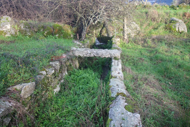 Terreno Agricola ou Rústico para Venda em Nespereira Foto 4