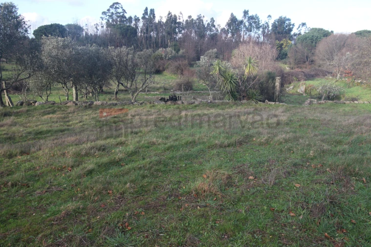 Terreno Agricola ou Rústico para Venda em Nespereira Foto 2