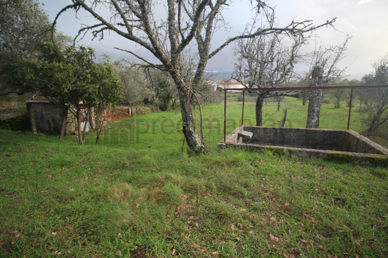 Terreno Agricola ou Rústico para Venda em Nespereira Foto 7