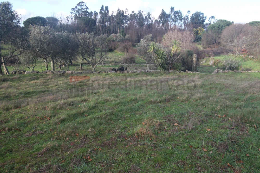 Terreno Agricola ou Rústico para Venda em Nespereira Foto 2