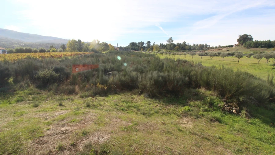 Terreno para Venda em São Paio Foto 5