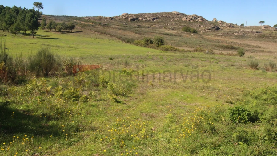 Terreno para Venda em São Paio Foto 2