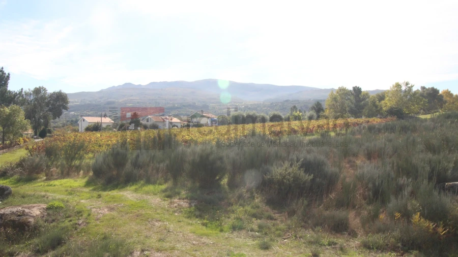 Terreno para Venda em São Paio Foto 6