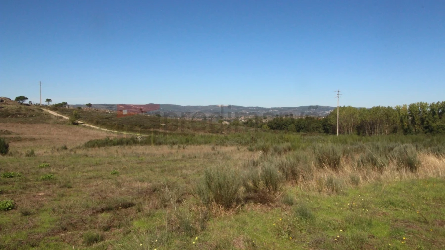 Terreno para Venda em São Paio Foto 3