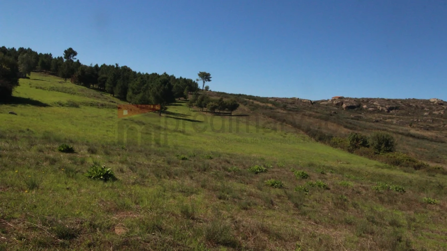 Terreno para Venda em São Paio Foto 4