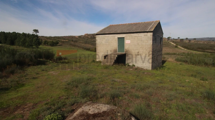 Terreno para Venda em São Paio Foto 7