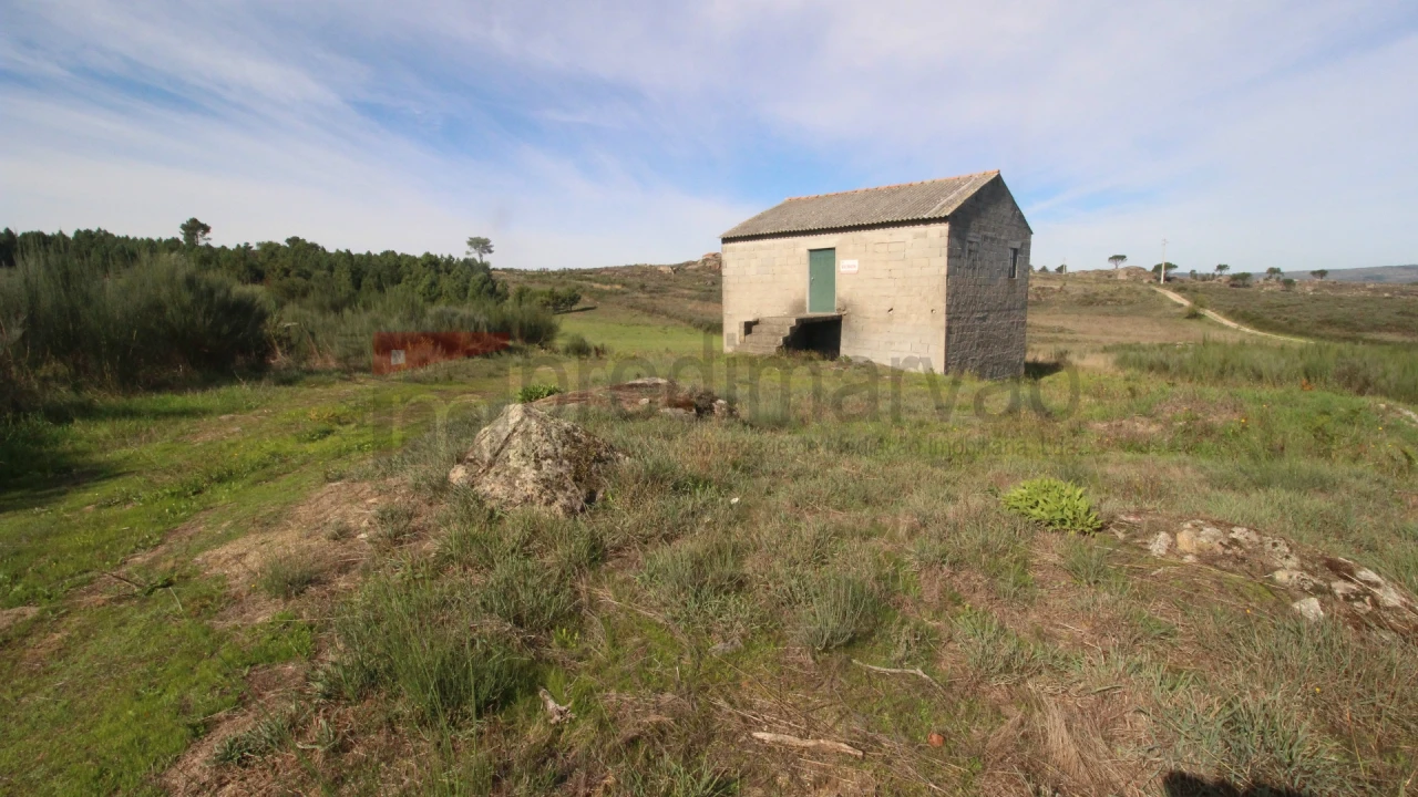 Terreno para Venda em São Paio Foto 1