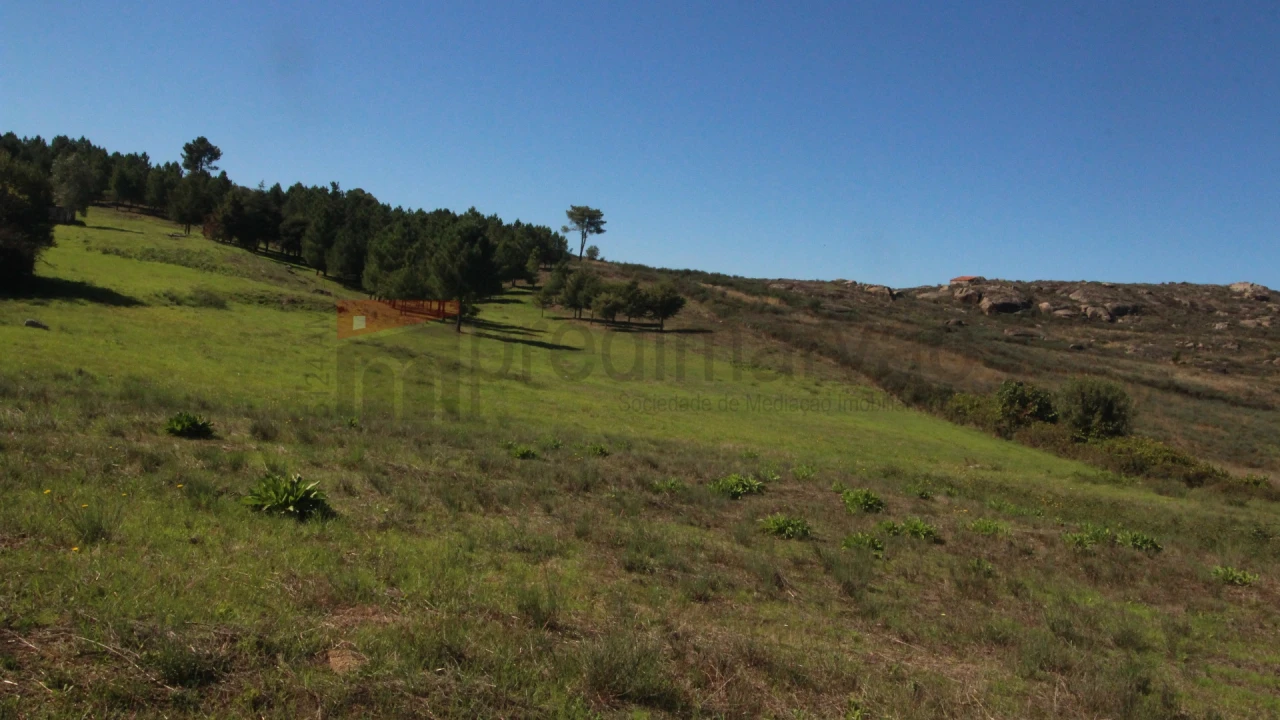 Terreno para Venda em São Paio Foto 4