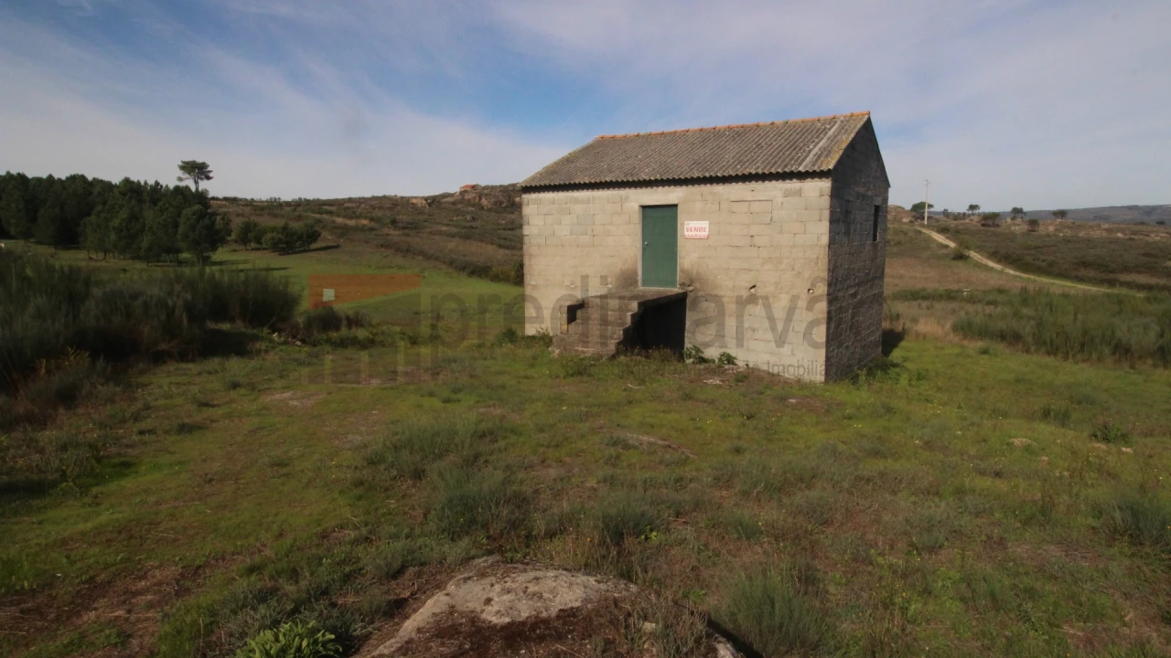 Terreno para Venda em São Paio Foto 7