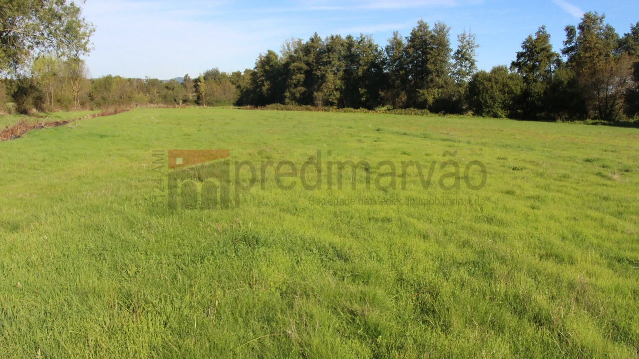 Terreno Agricola ou Rústico para Venda em São Paio Foto 5