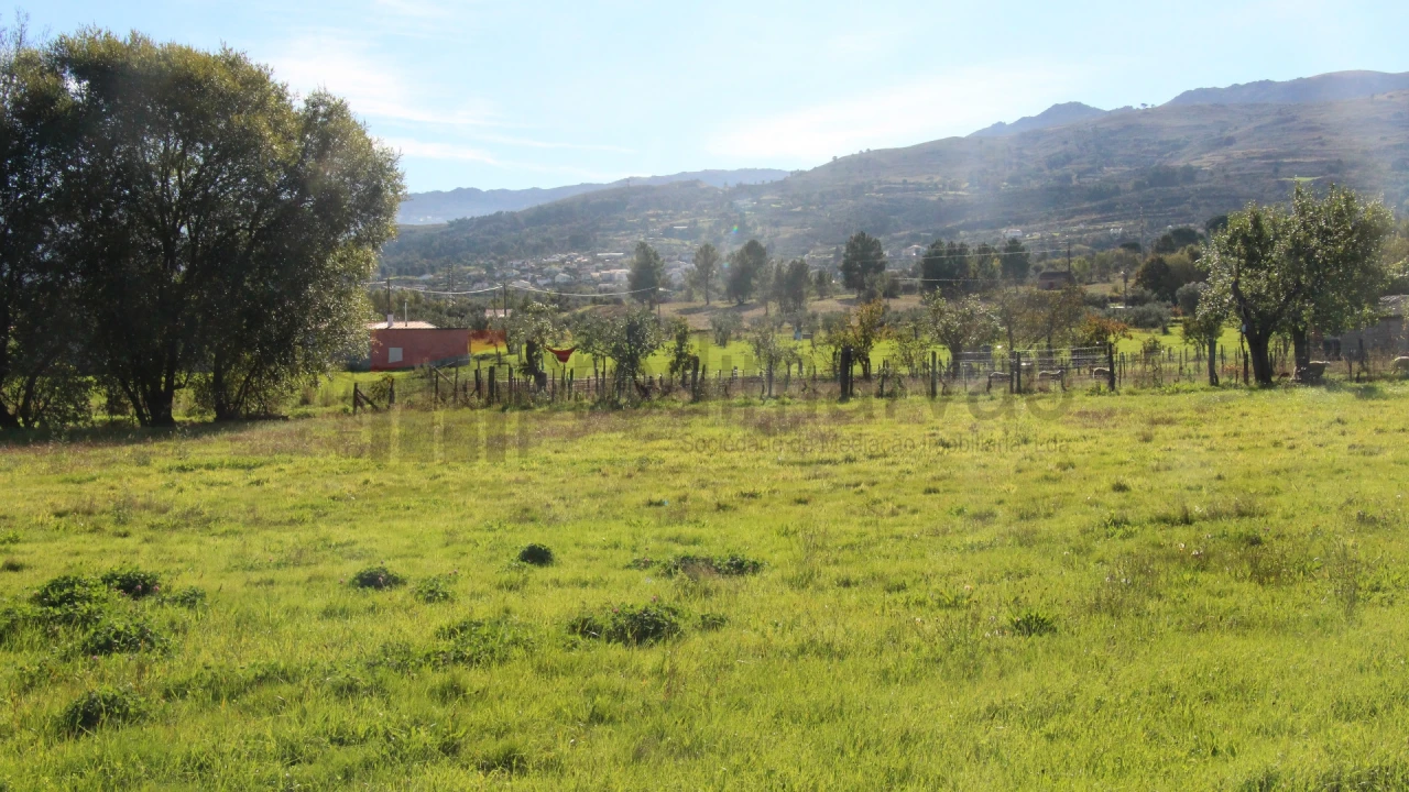 Terreno Agricola ou Rústico para Venda em São Paio Foto 4