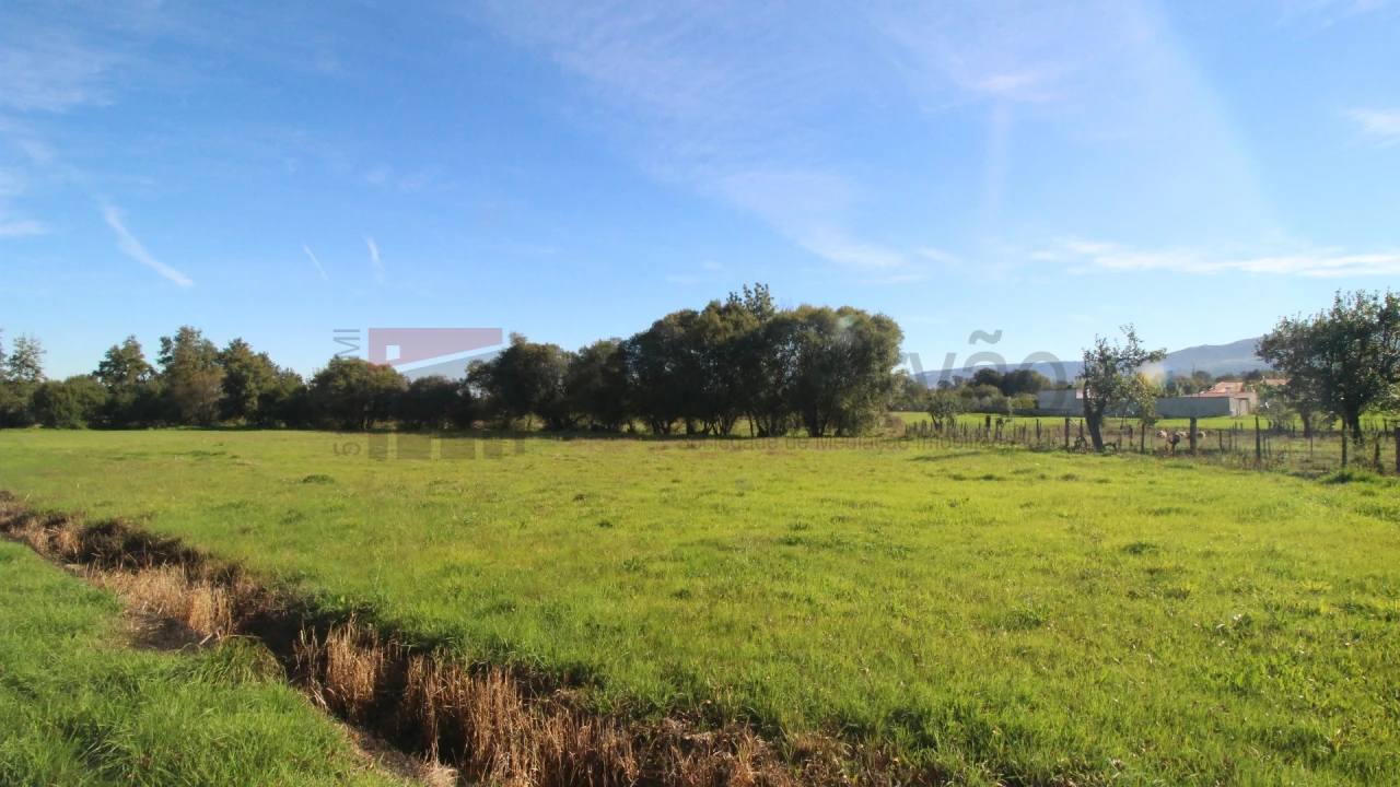Terreno Agricola ou Rústico para Venda em São Paio Foto 2