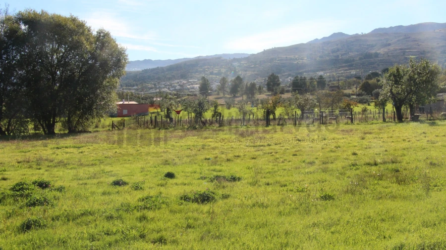Terreno Agricola ou Rústico para Venda em São Paio Foto 4