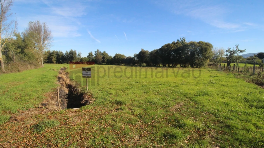Terreno Agricola ou Rústico para Venda em São Paio