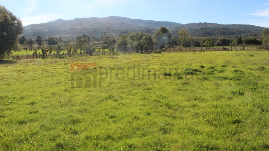 Terreno Agricola ou Rústico para Venda em São Paio Foto 6