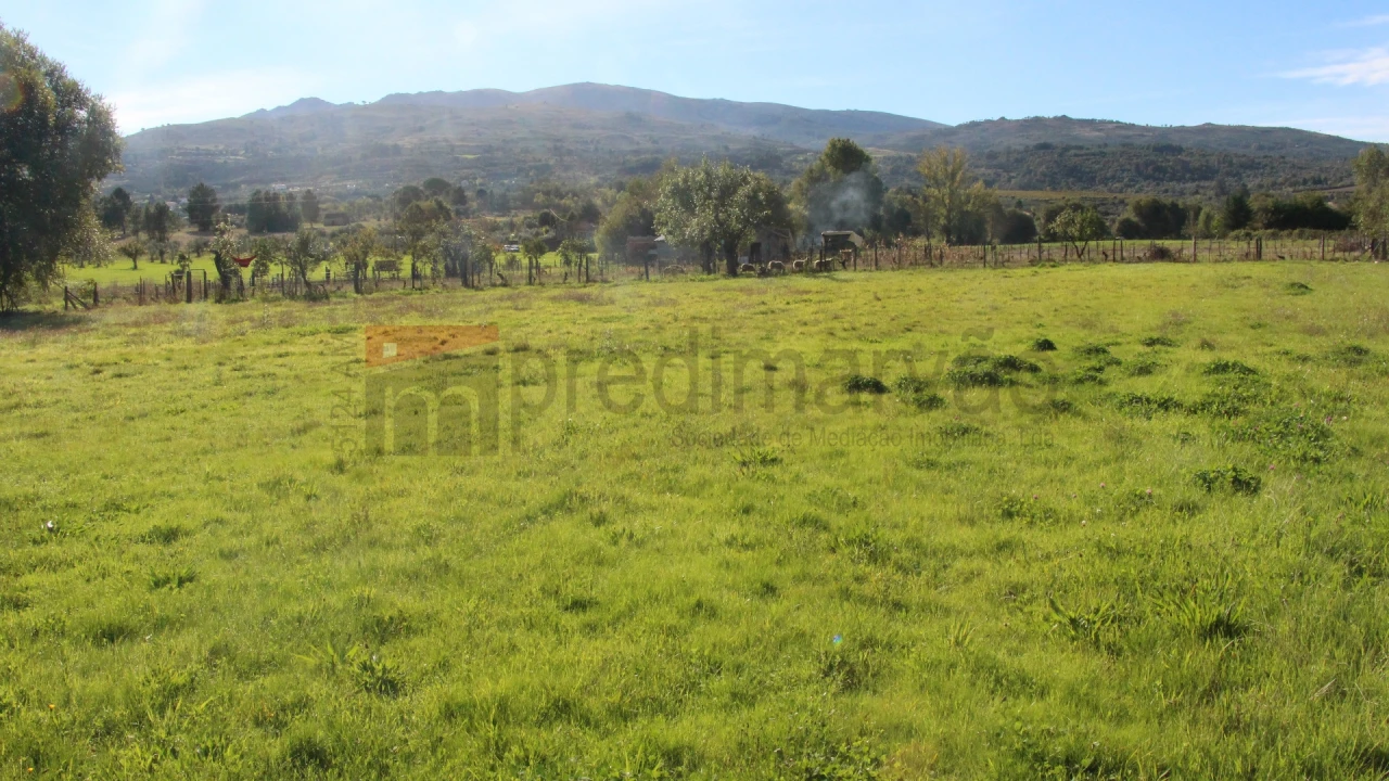 Terreno Agricola ou Rústico para Venda em São Paio Foto 6