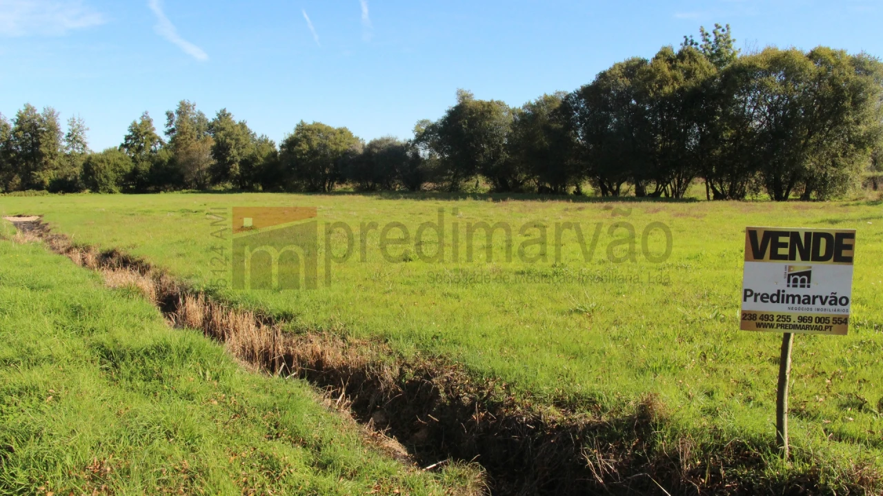 Terreno Agricola ou Rústico para Venda em São Paio Foto 3