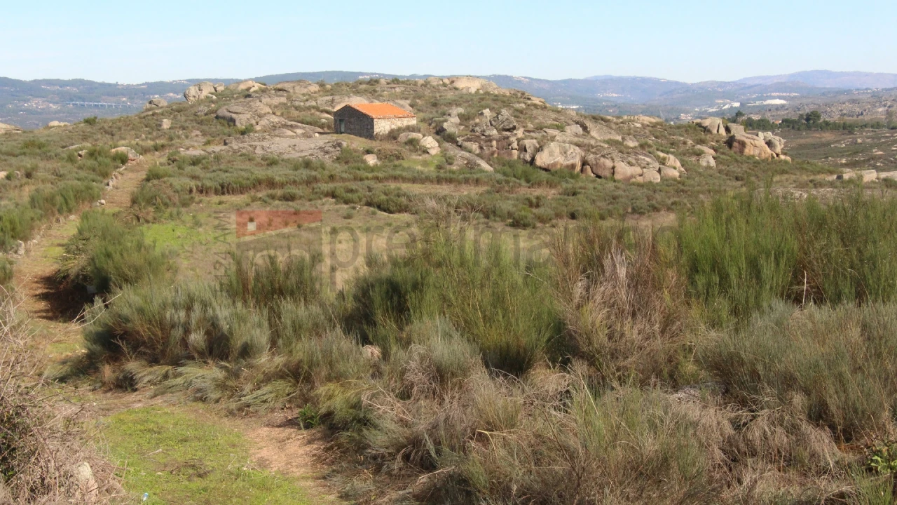Quinta T0 para Venda em São Paio Foto 9