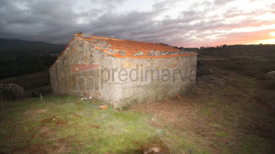 Quinta T0 para Venda em São Paio Foto 3