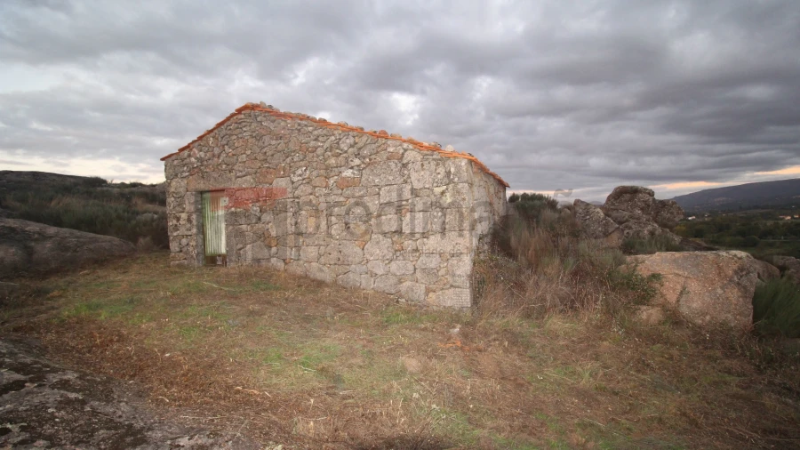 Quinta T0 para Venda em São Paio Foto 6