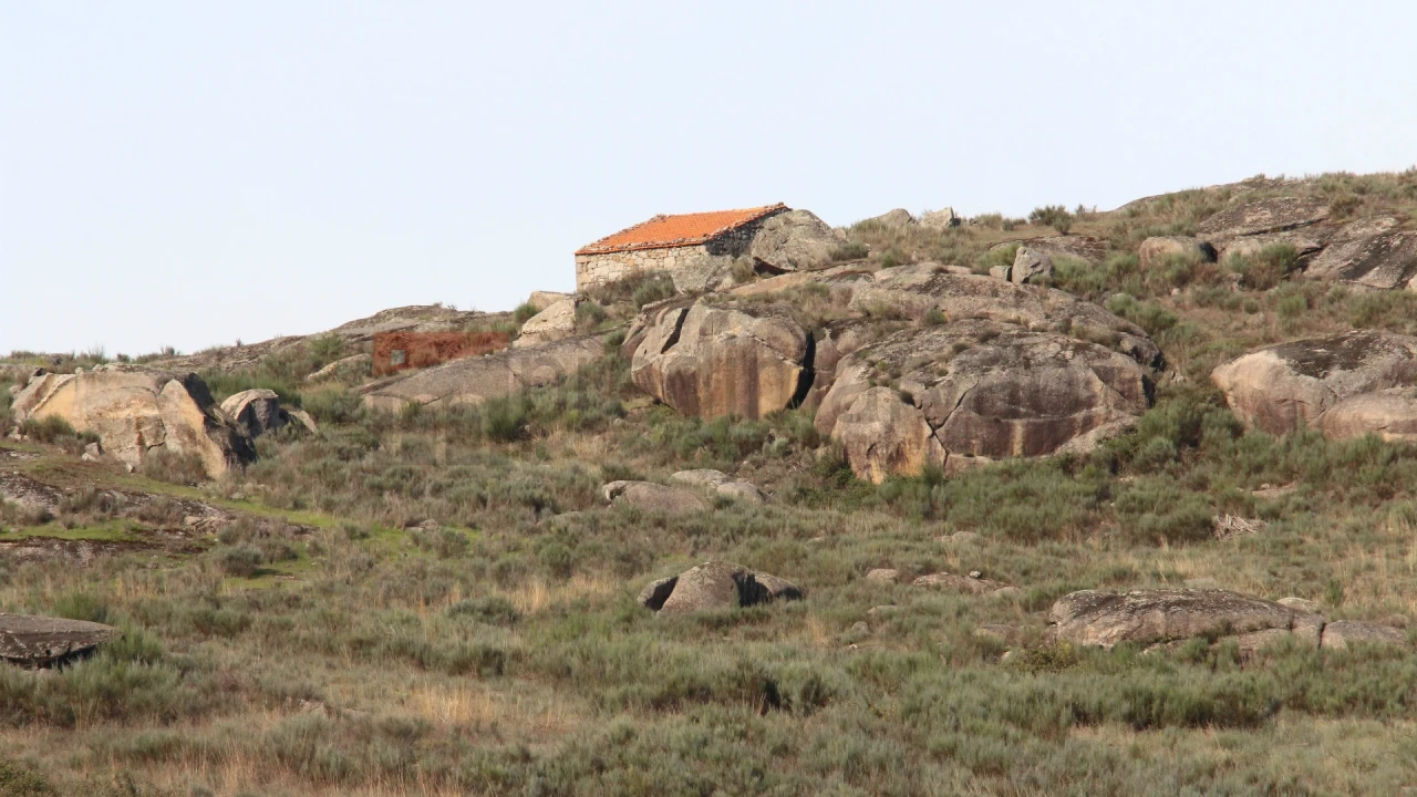 Quinta T0 para Venda em São Paio Foto 7