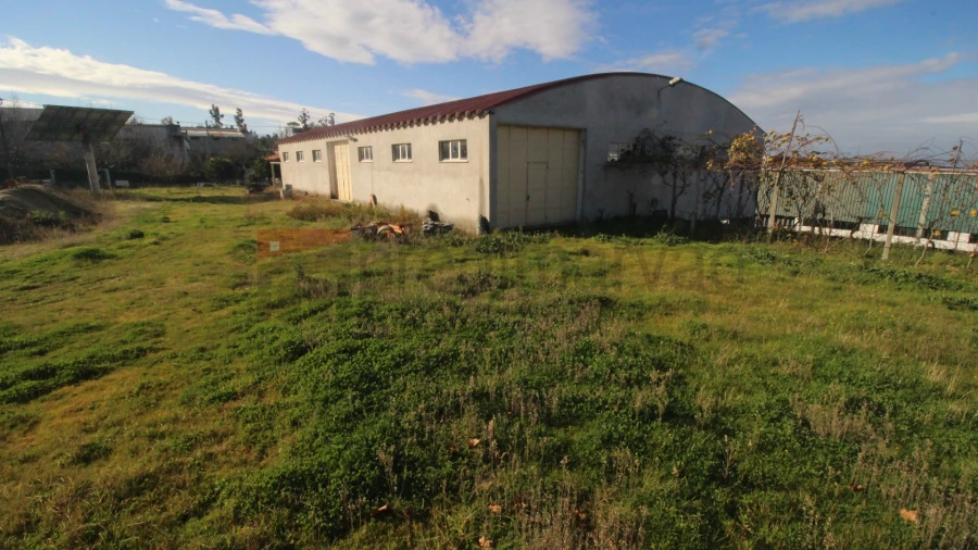 Armazém para Venda em Nespereira Foto 12