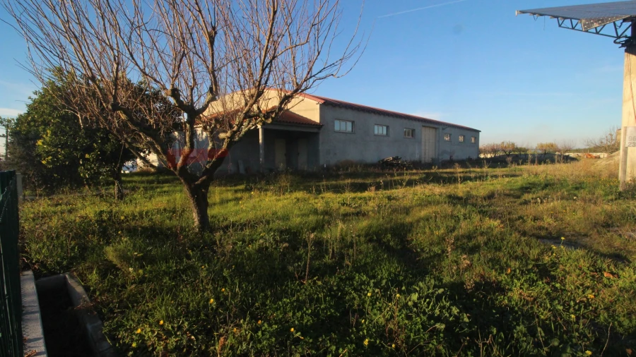Armazém para Venda em Nespereira Foto 5