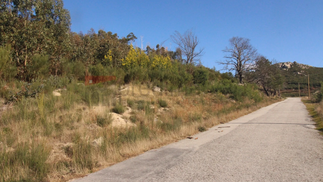 Terreno Agricola ou Rústico para Venda em Gouveia (São Pedro e São Julião) Foto 5