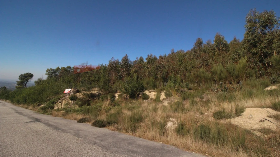 Terreno Agricola ou Rústico para Venda em Gouveia (São Pedro e São Julião) Foto 8