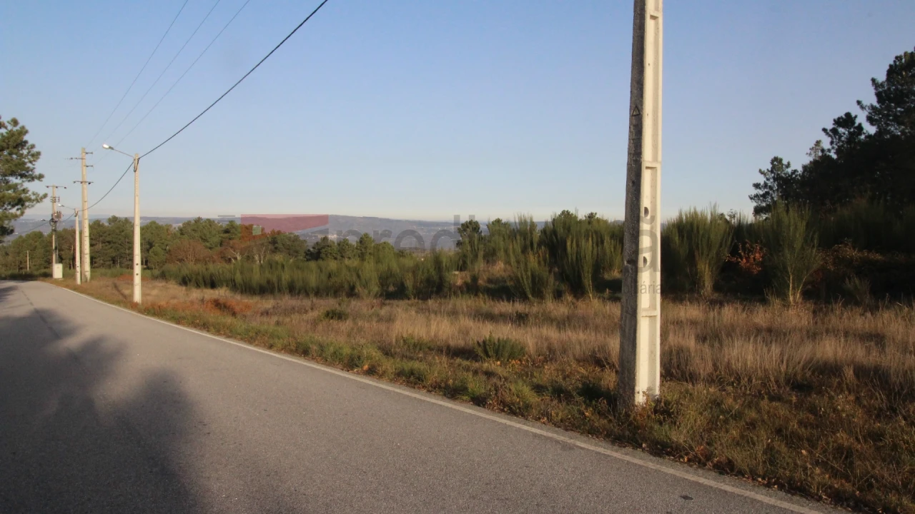 Terreno para Venda em São Paio Foto 5