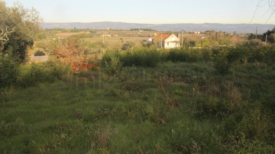 Terreno Agricola ou Rústico para Venda em São Paio Foto 5