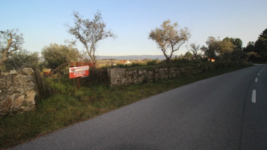 Terreno Agricola ou Rústico para Venda em São Paio