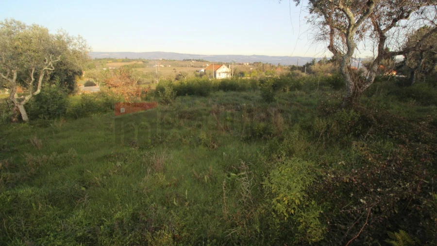 Terreno Agricola ou Rústico para Venda em São Paio Foto 4