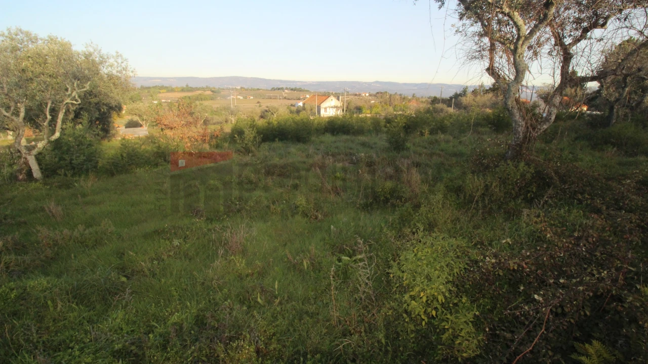 Terreno Agricola ou Rústico para Venda em São Paio Foto 4