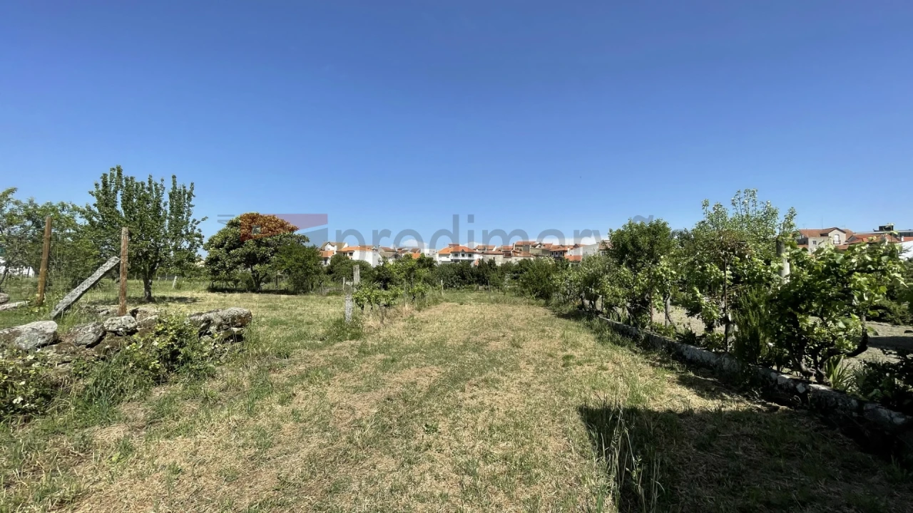 Terreno para Venda em Vila Nova de Tazem Foto 6