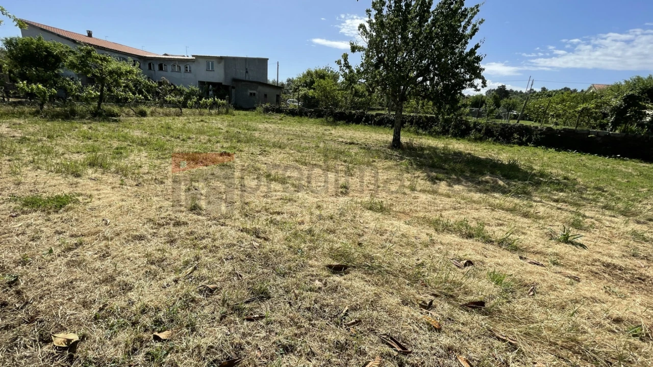 Terreno para Venda em Vila Nova de Tazem Foto 5