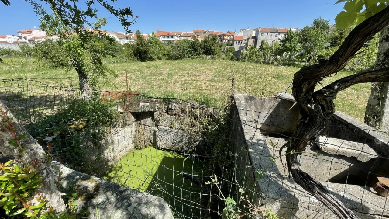 Terreno para Venda em Vila Nova de Tazem Foto 3