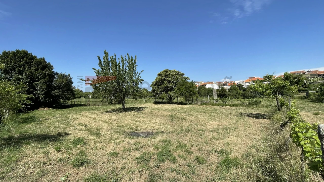 Terreno para Venda em Vila Nova de Tazem Foto 2