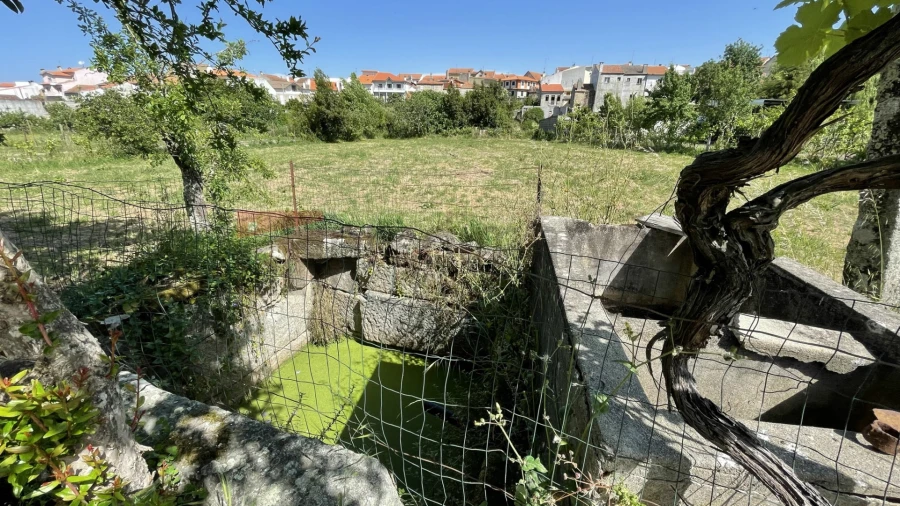 Terreno para Venda em Vila Nova de Tazem Foto 3