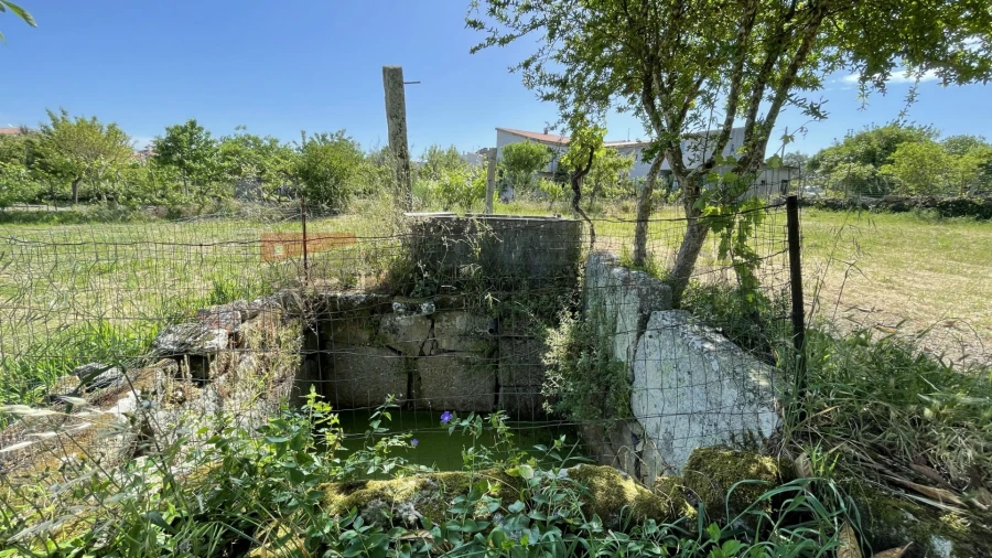 Terreno para Venda em Vila Nova de Tazem Foto 4