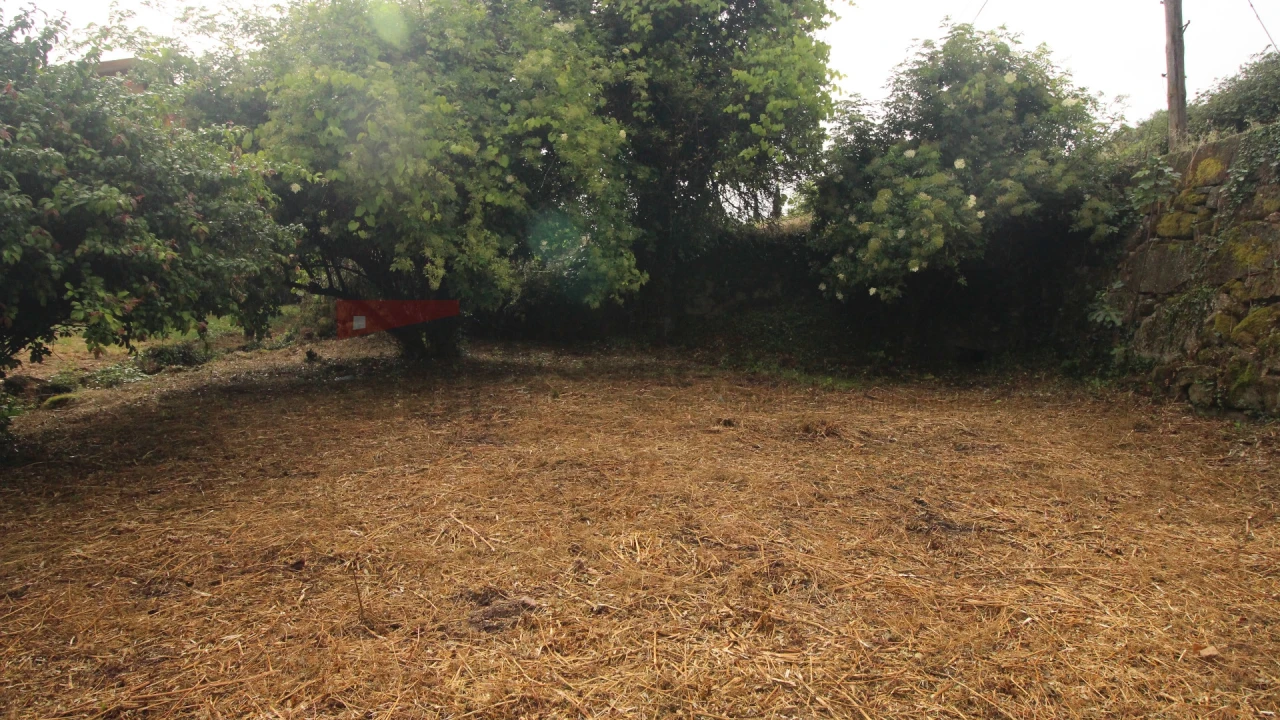 Moradia T3 para Venda em Vila Nova de Tazem Foto 4