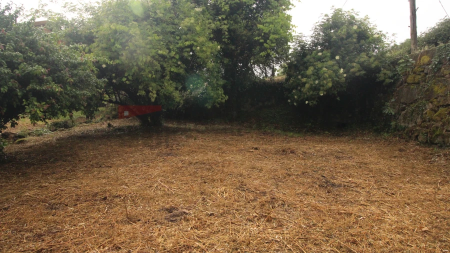 Moradia T3 para Venda em Vila Nova de Tazem Foto 4