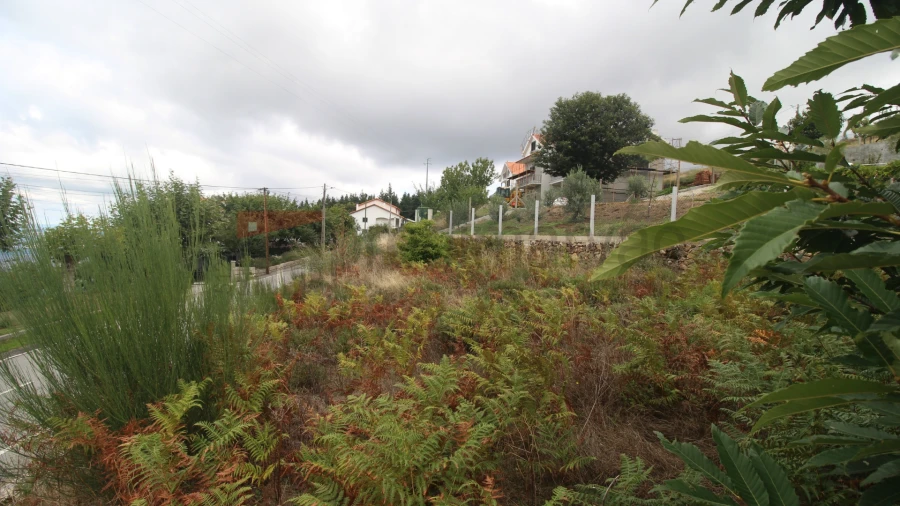 Terreno para Venda em Folgosinho Foto 3