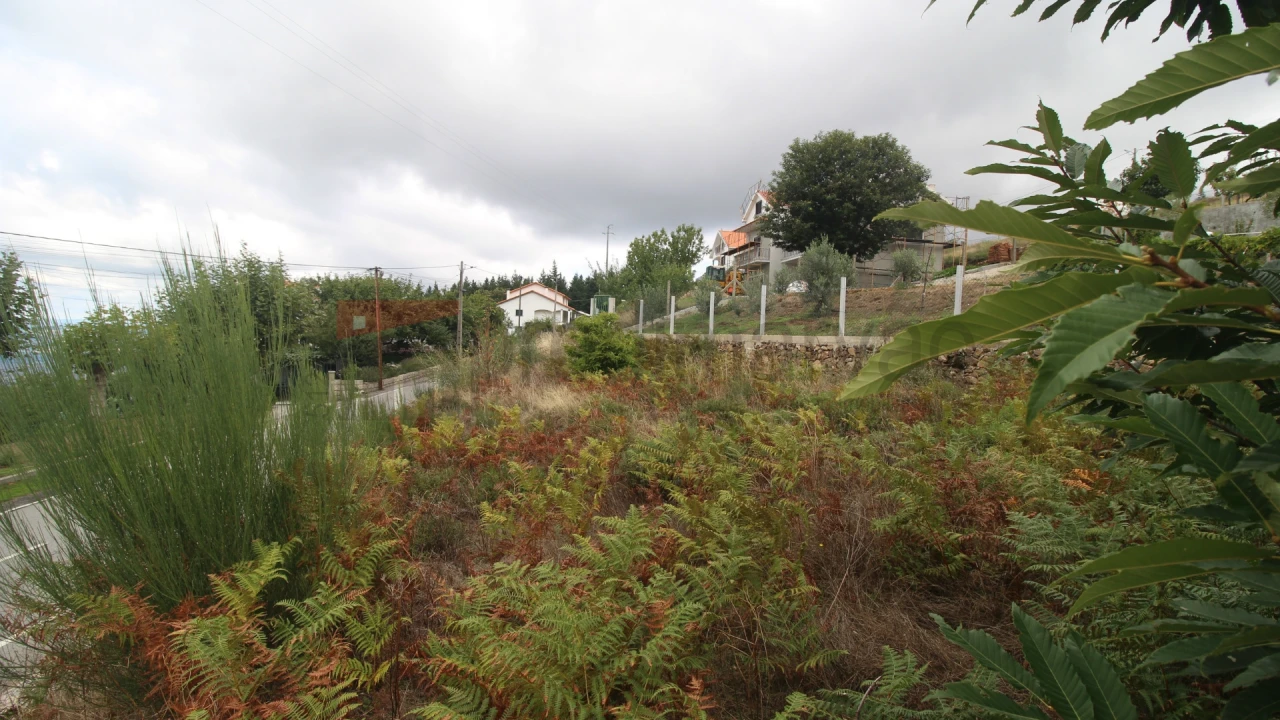 Terreno para Venda em Folgosinho Foto 3